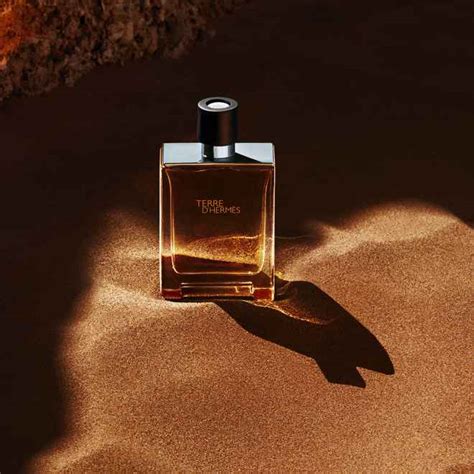 terre d hermes pantip|ขอถามเซียน Terre D'Hermès ครับ .